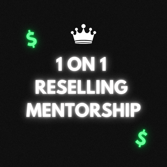 1 ON 1 MENTORSHIP